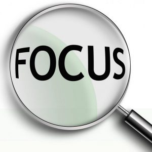 focus12